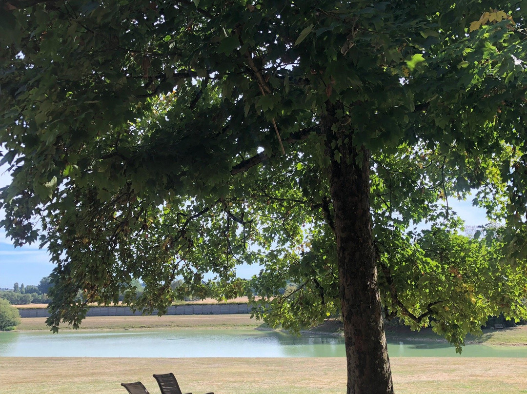 比道迪埃勒庄园酒店主图