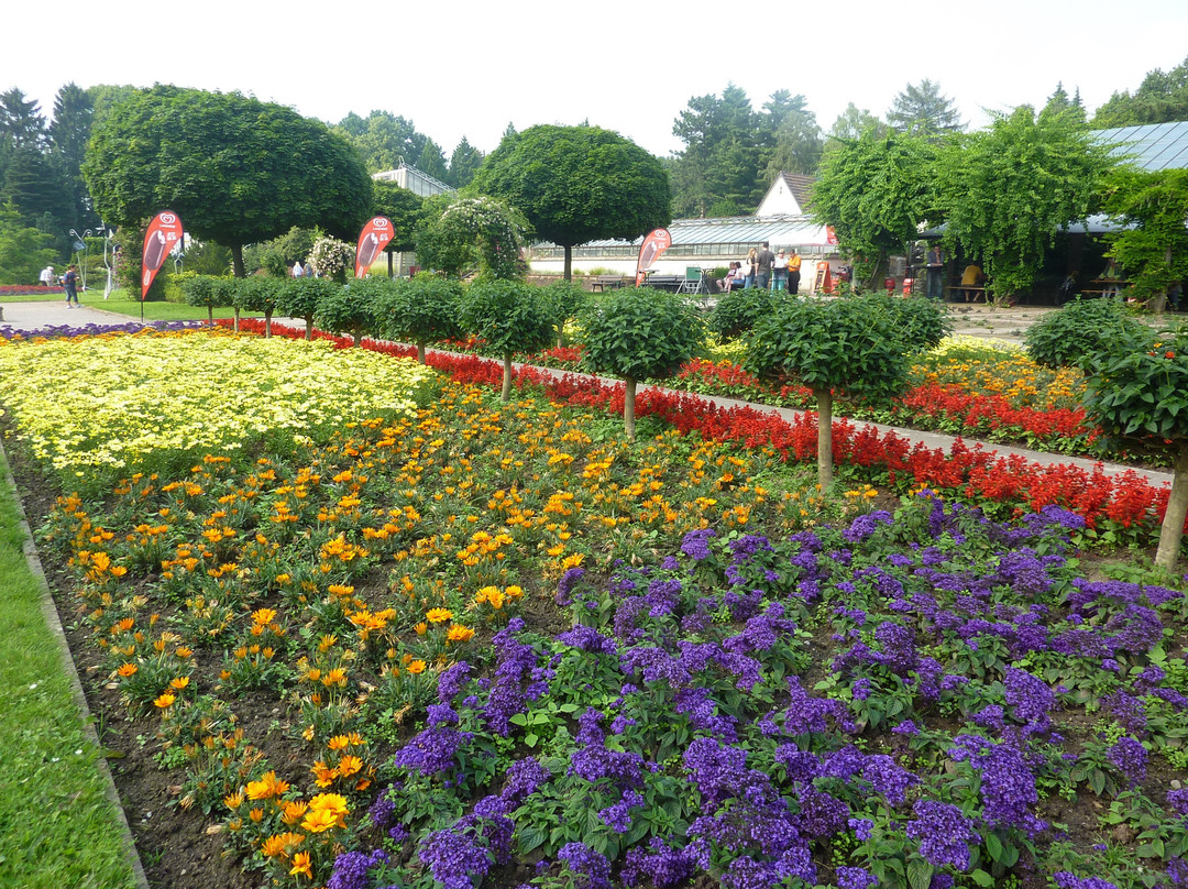 Botanischer Garten Solingen景点图片