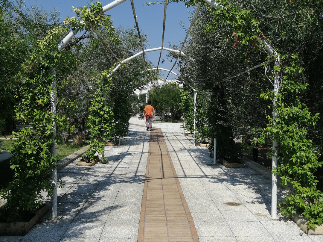 Hotel Giardino Giamperduto主图