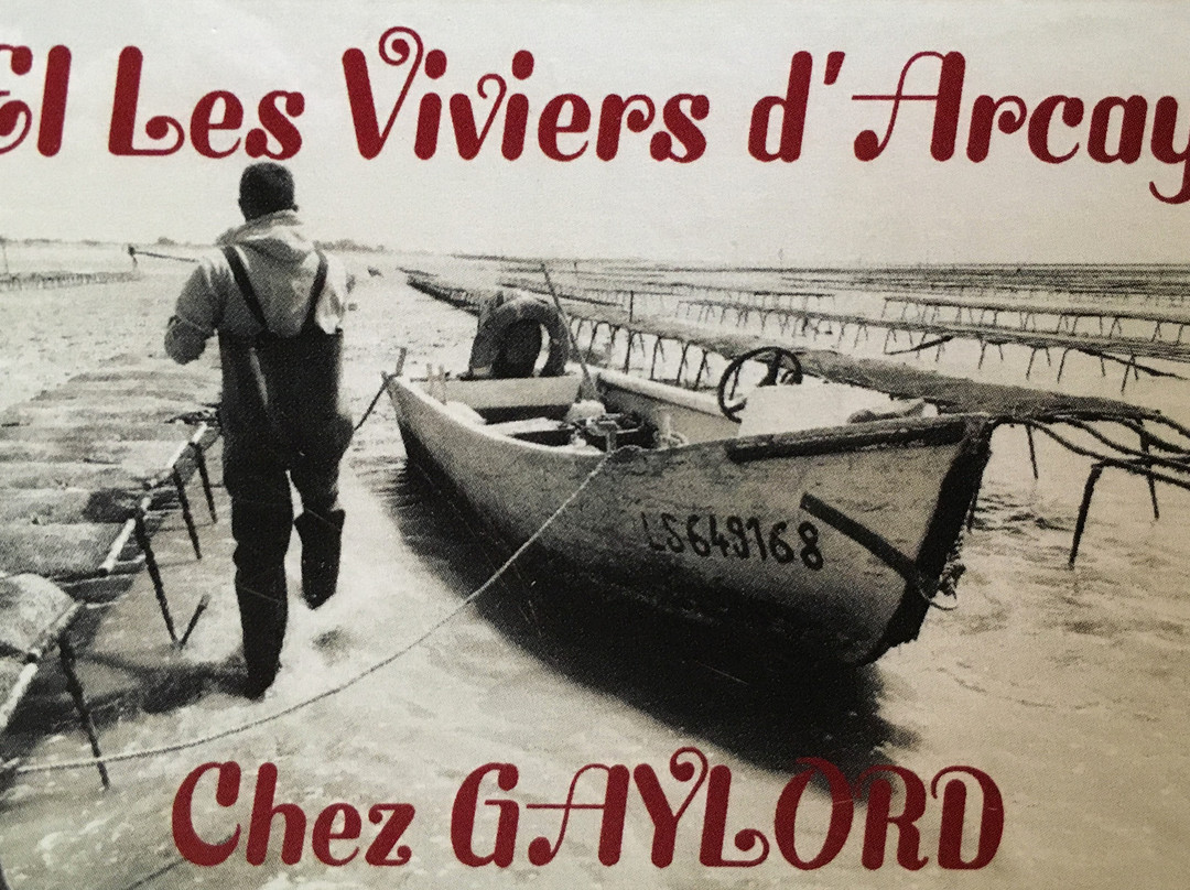 Les Viviers d'Arcay: Visites Ostréicoles景点图片