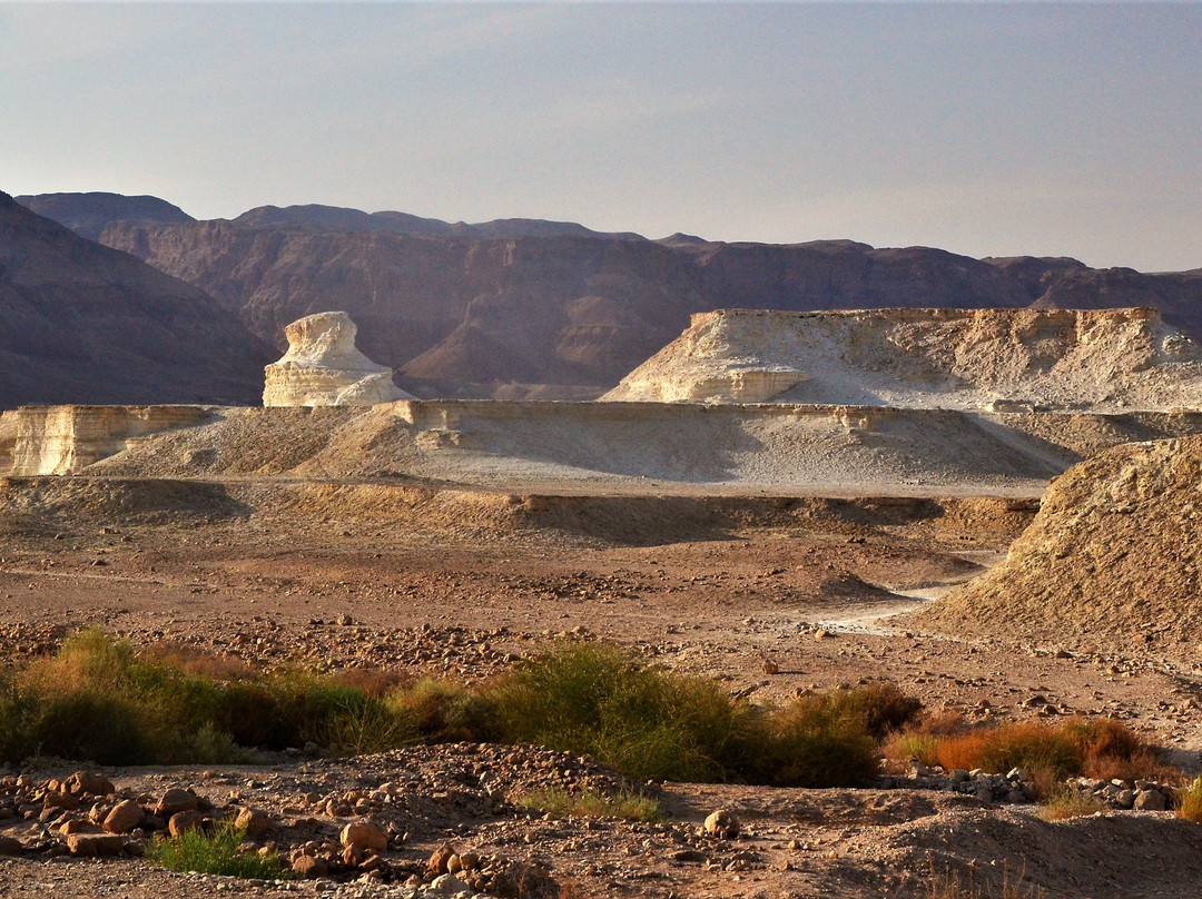 熏香之路——内盖夫的沙漠城镇-Ramat Negev必去景点