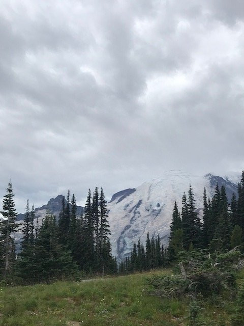 Nature Nuts Adventure Travel-西雅图必去景点