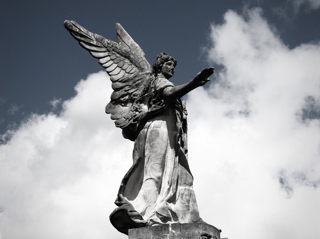 Cementerio de Angulema景点图片