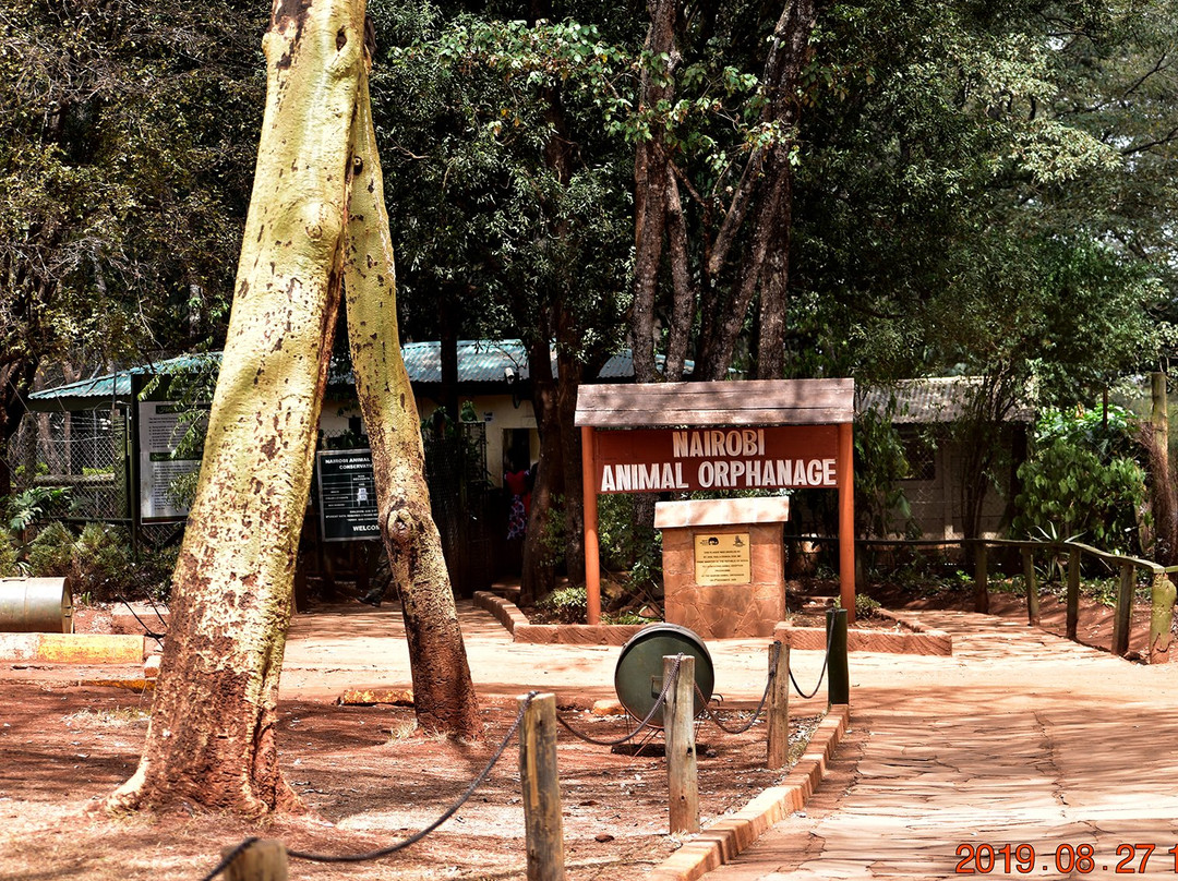 Nairobi Animal Orphanage景点图片