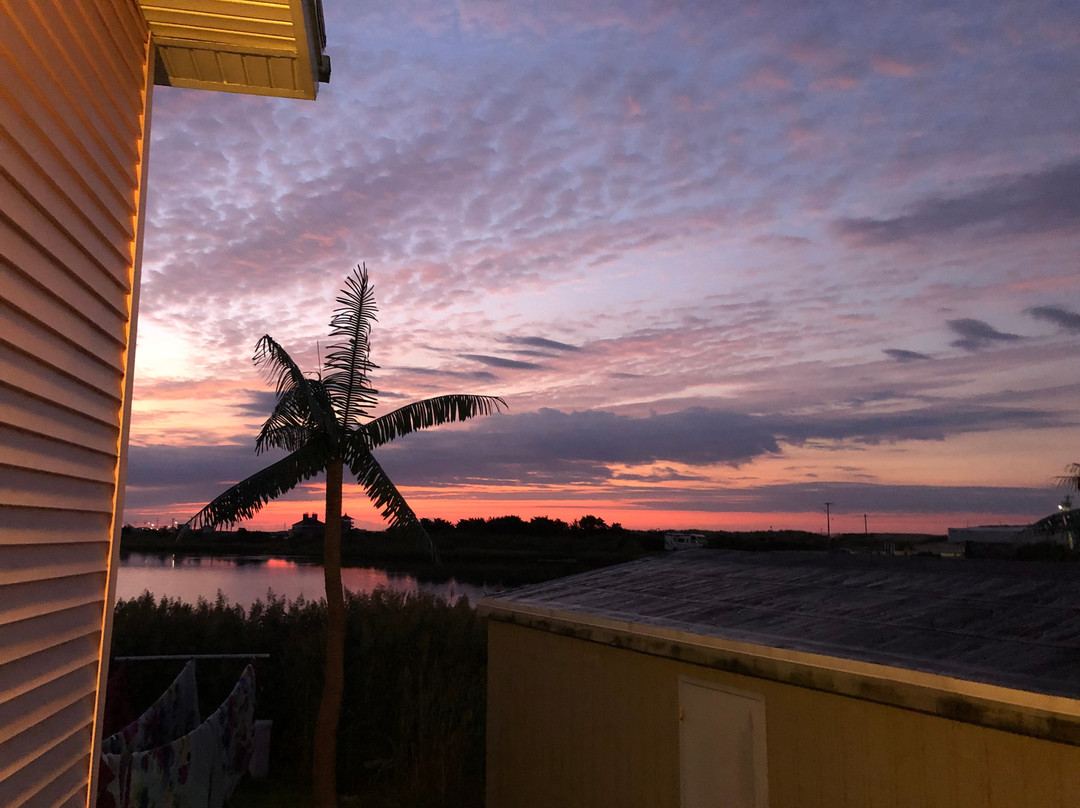 Sea Shell Motel主图