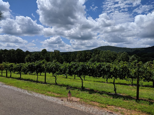Sharp Mountain Vineyards-Jasper必去景点