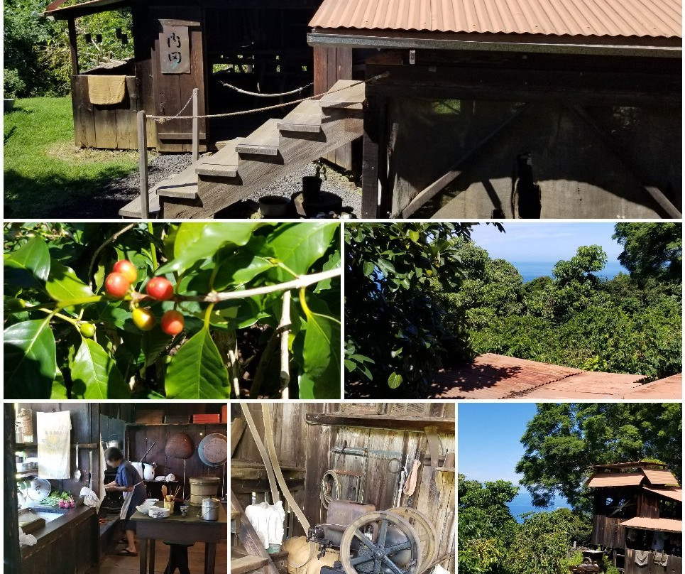 科纳咖啡历史农园-库克船长必去景点