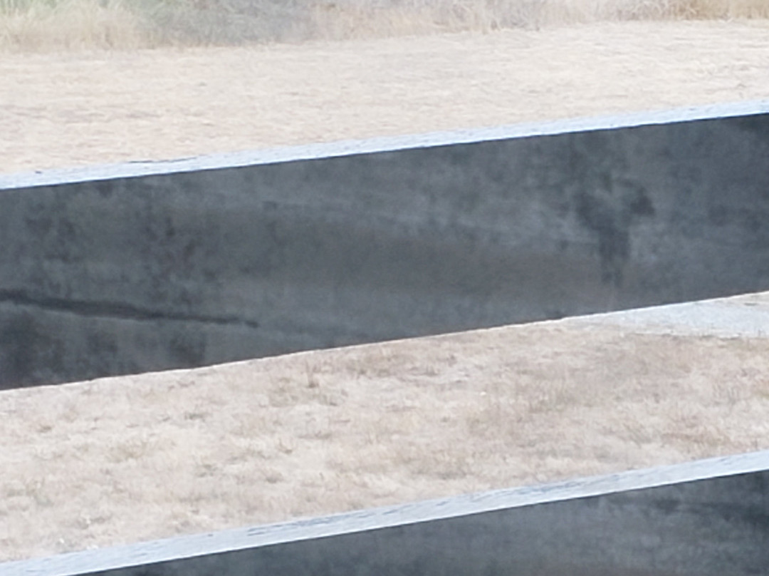 SureStay Plus By Best Western Gold Beach主图