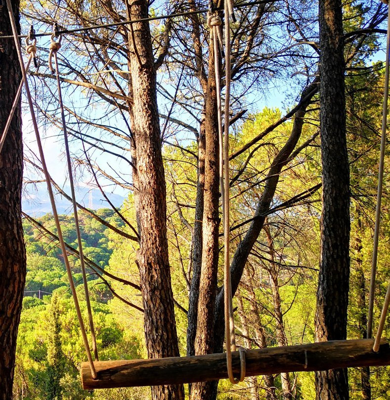 Monti Rossi Adventure Park-尼科洛西必去景点