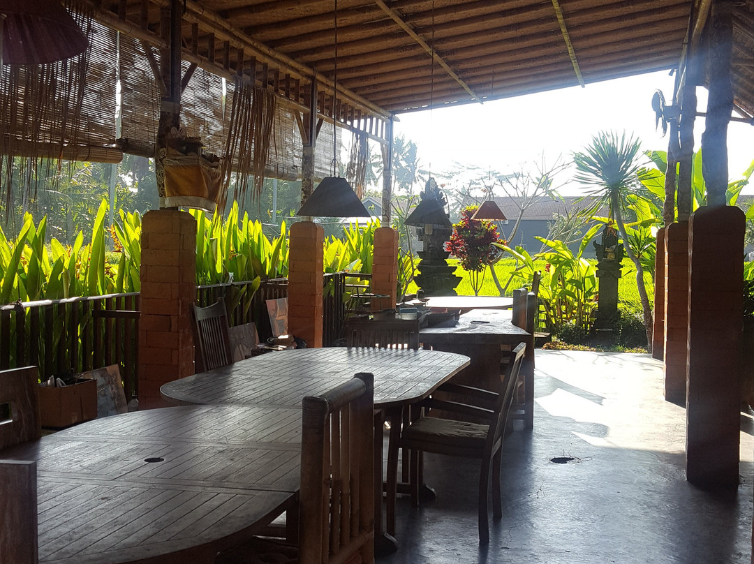 Rice Padi Artha主图