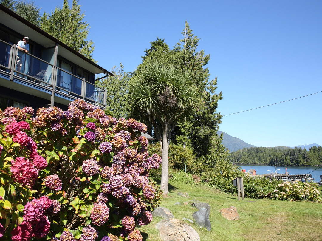 Tofino Motel Harborview Ltd.主图