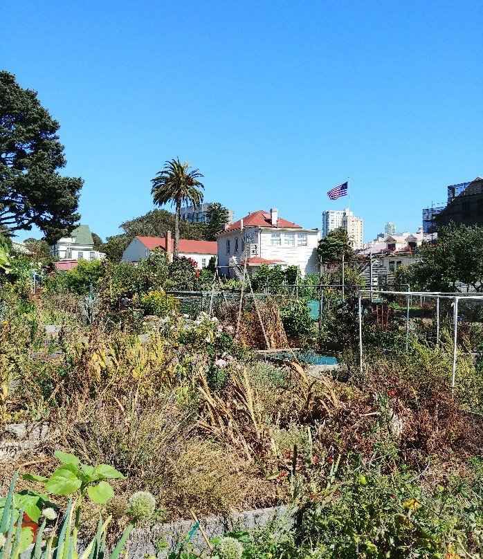 梅森堡大草坪军事基地景点图片