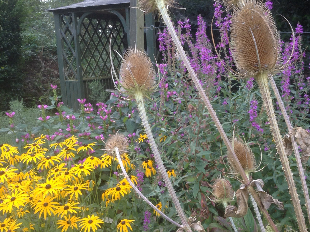 St. Mary's House & Gardens景点图片