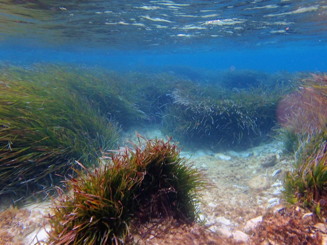 Kayak & Sup Hvar-赫瓦尔必去景点