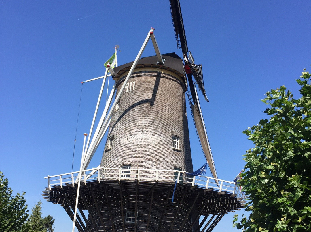 De Nieuwe Molen-费嫩达尔必去景点