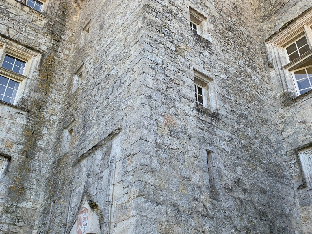 Chateau de Fources主图