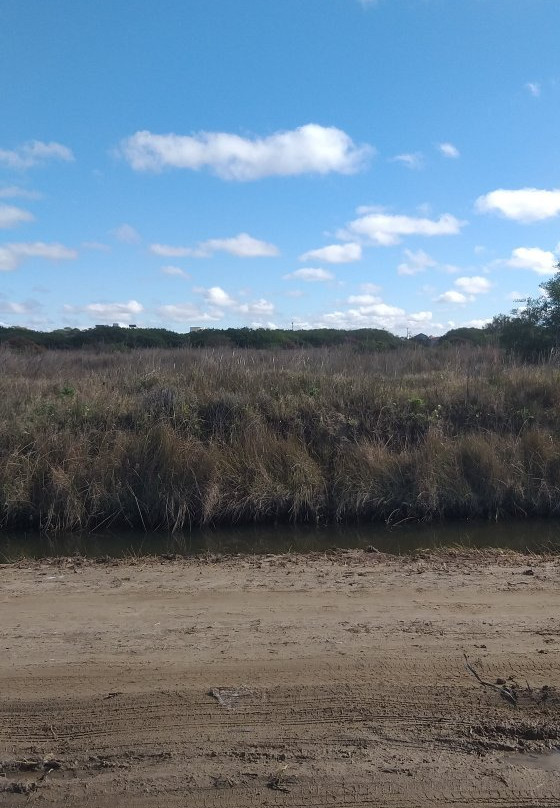 Navio Altair-Cassino必去景点