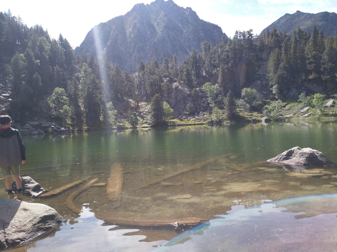 Borda de Ritort主图