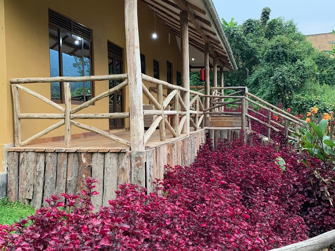 Gorilla Safari Lodge主图