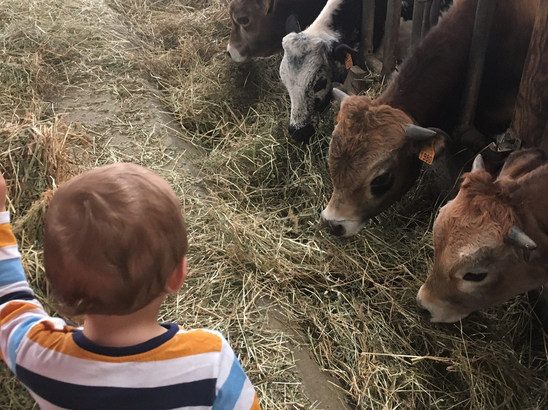 Aubessagne旅游攻略图片