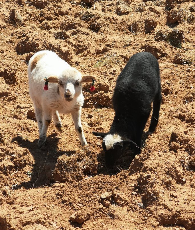 Centro Ceremonial Pachatata-Ocosuyo必去景点
