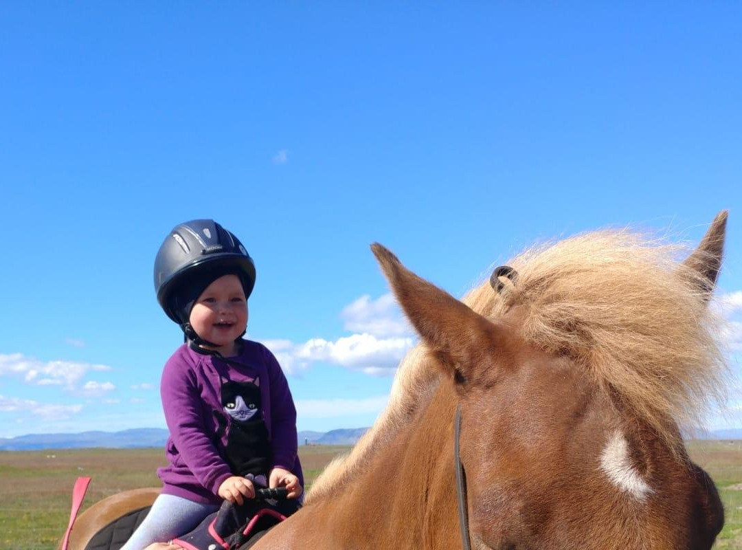 GobbiGobb Horse Center-Stokkseyri必去景点