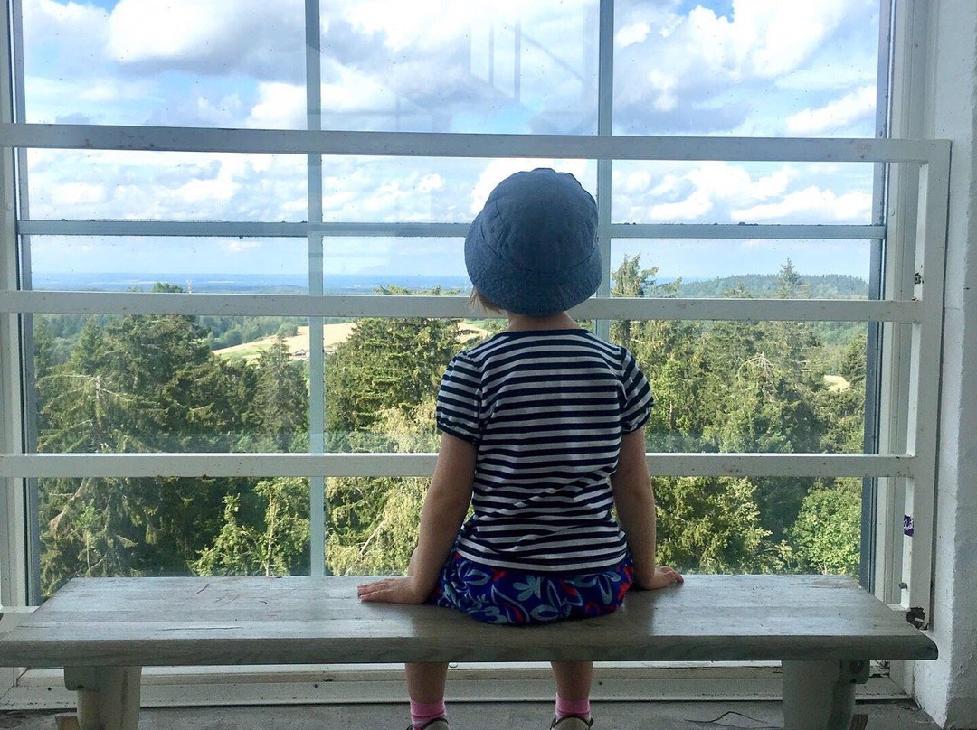 Observation Tower on Suur Munamagi-Haanja必去景点