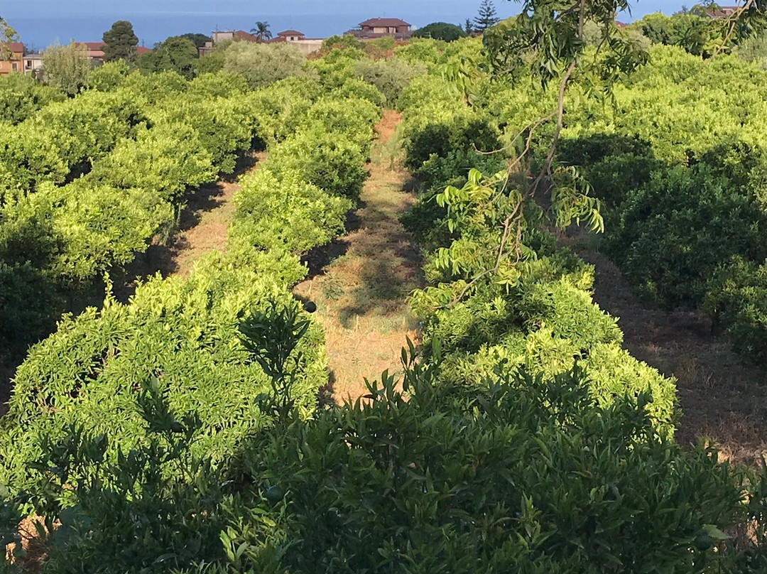 Verde Nobile Dimora di Charme主图
