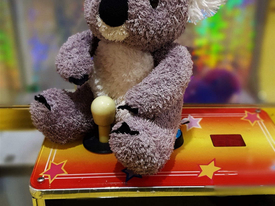 Drop Bear Escape Rooms景点图片