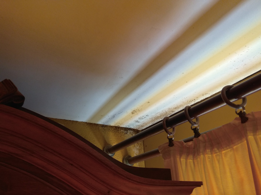 Santa Marina Guesthouse主图