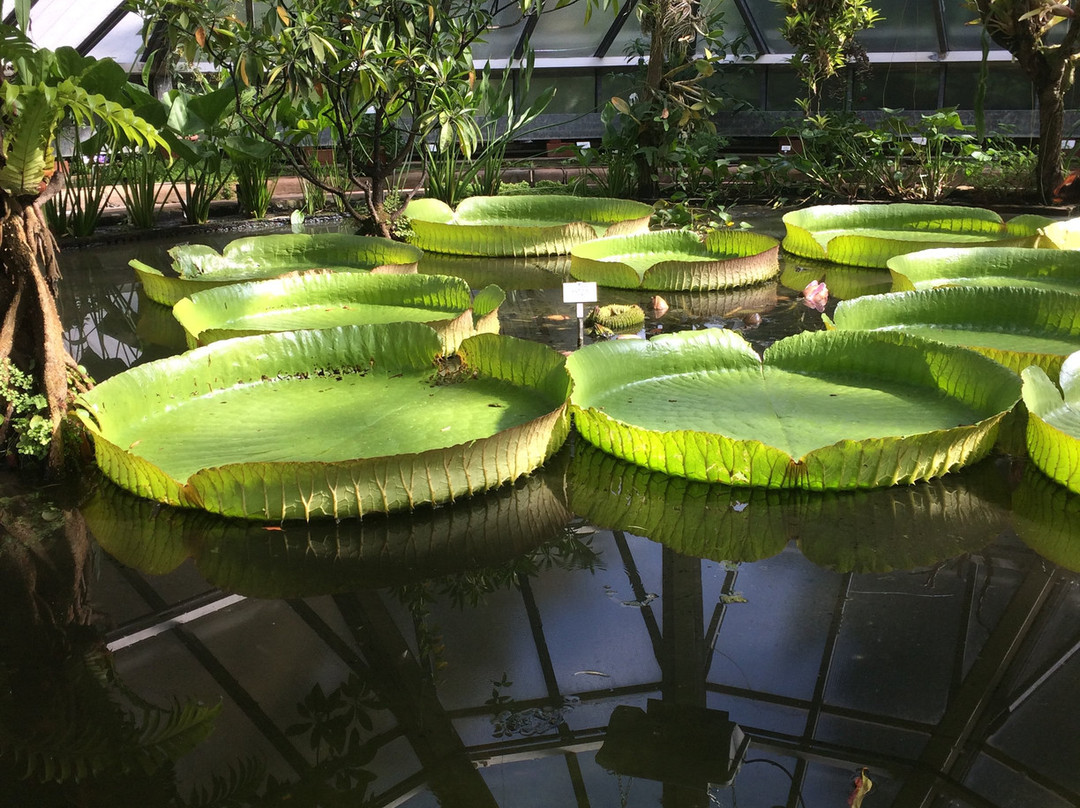 Botanischer Garten-哈雷必去景点