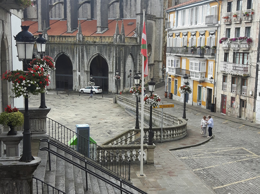 Hotel Palacio Oxangoiti主图