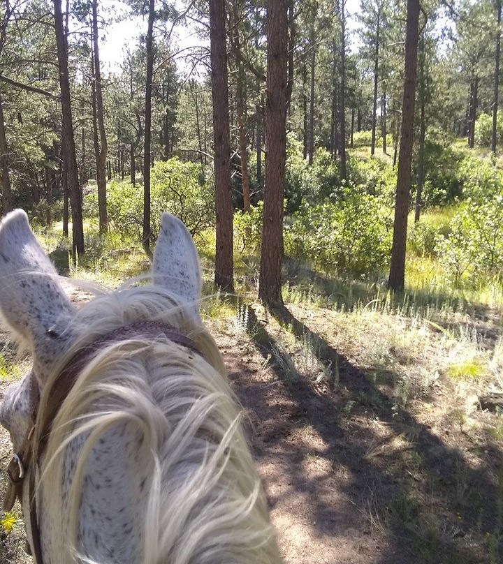 Air Force Academy Stables-Colorado City必去景点