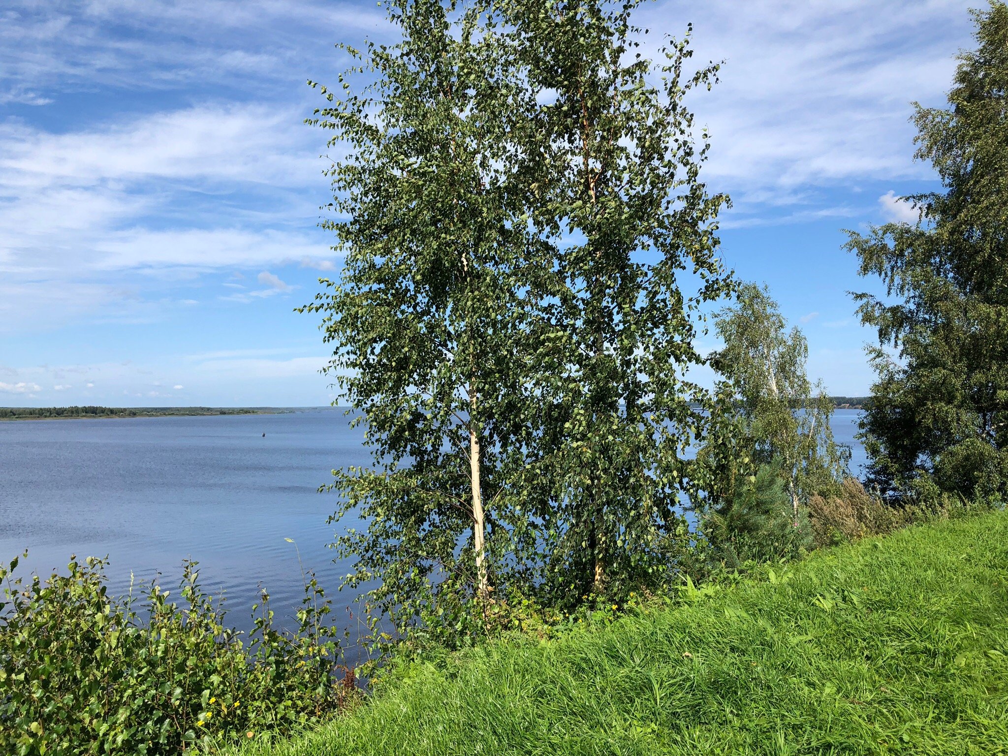 Volga-Volga-官方