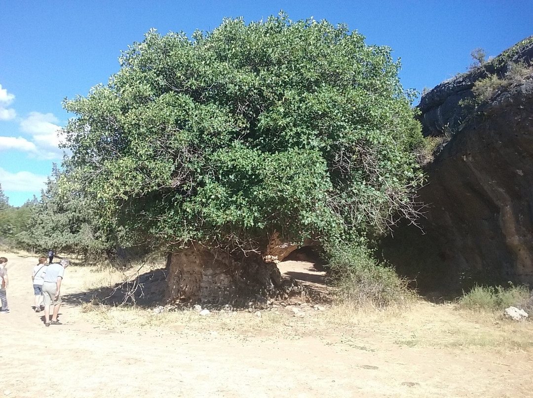 Ciudad Encantada Tamajon景点图片