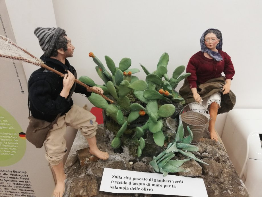 MuSea Museo Vivo del Mare di Pioppi-Pioppi必去景点