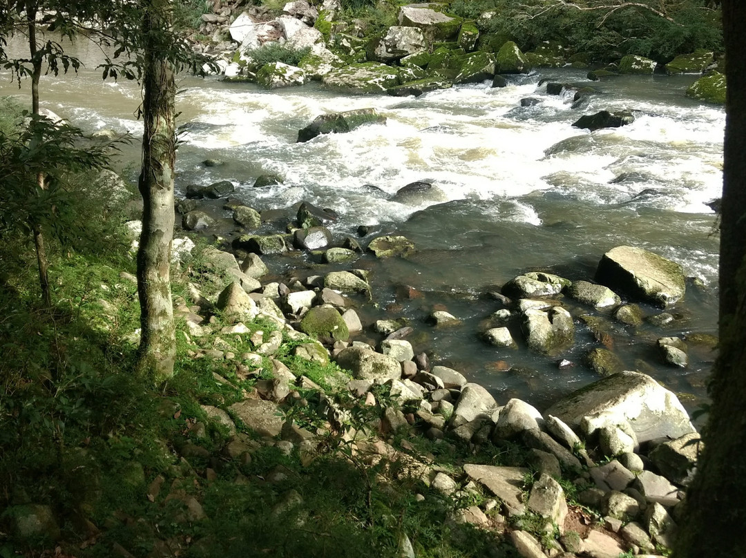 Perau De Janeiro-Arvorezinha必去景点