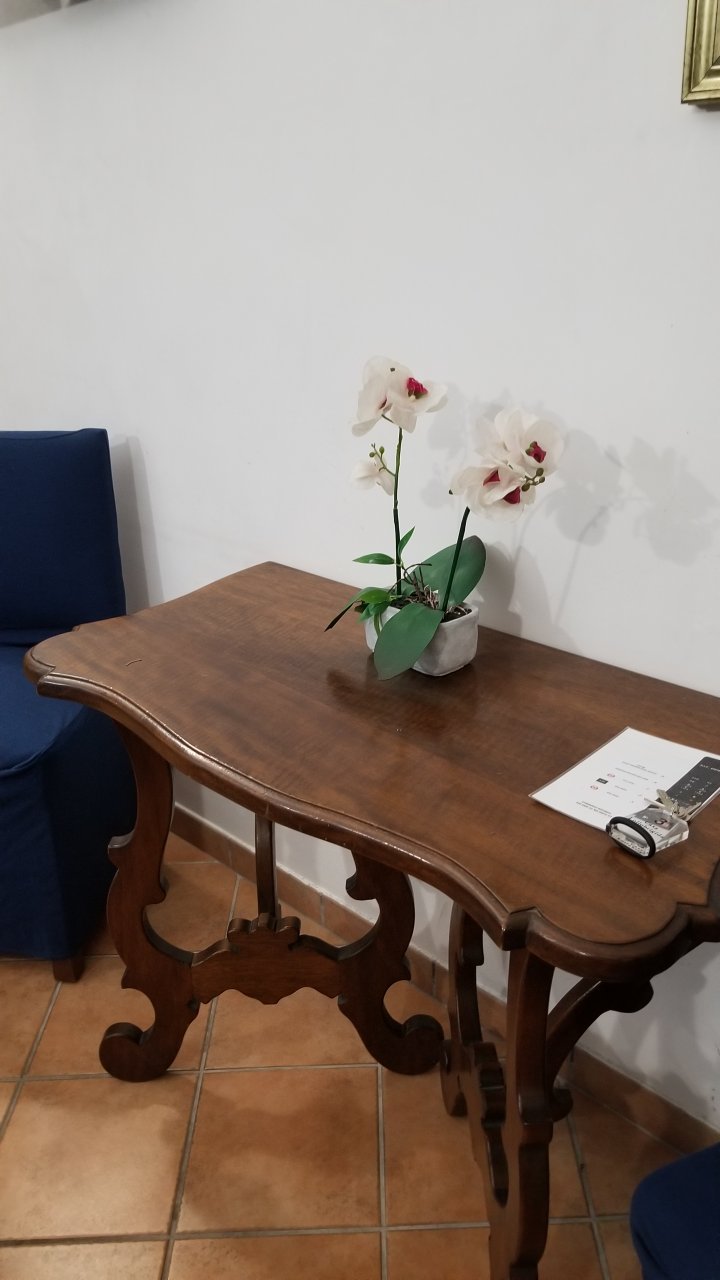 Casa Lollobrigida-官方