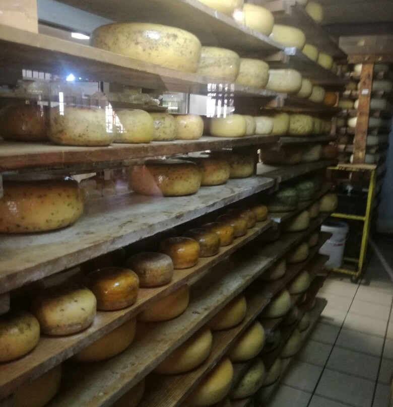 Van Gaalen Kaasmakerij-Madibeng必去景点