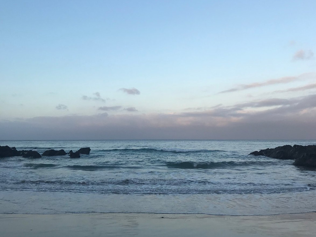 Wild Side Hiking-Port St Johns必去景点