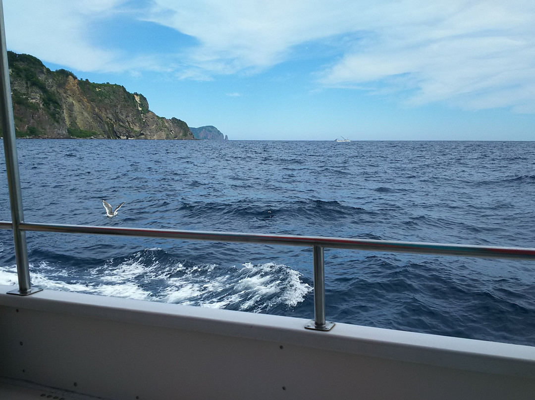 Underwater Observatory Ship New Shakotan景点图片