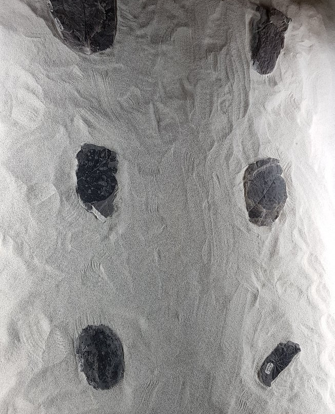 麦德林天文馆-麦德林必去景点