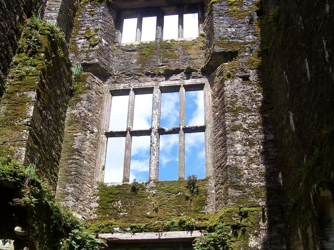 Berry Pomeroy Castle-托特尼斯必去景点