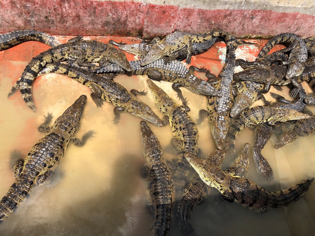 Wotoch Aayin (la Casa Del Cocodrilo)-Calkini必去景点