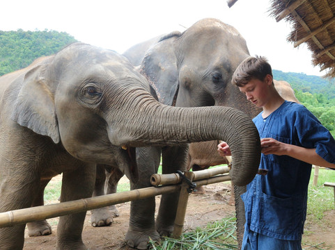 Eco Elephant Care