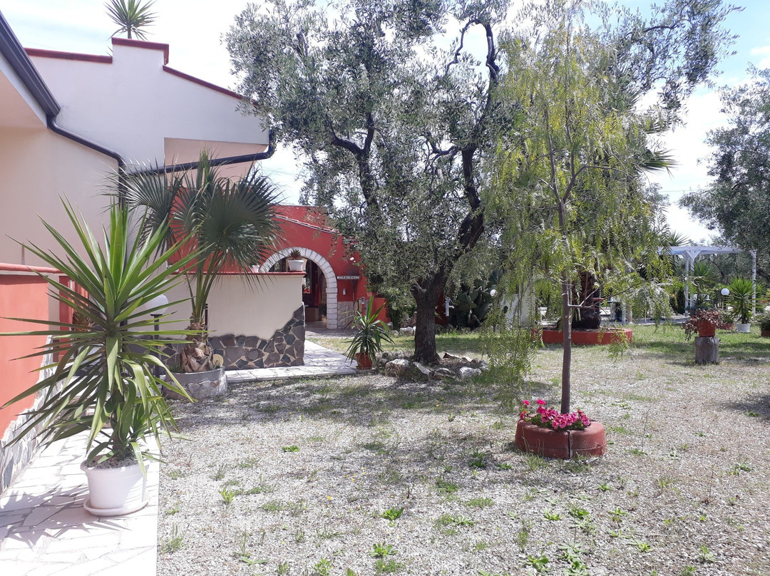 B&B Uliveto Del Gargano主图