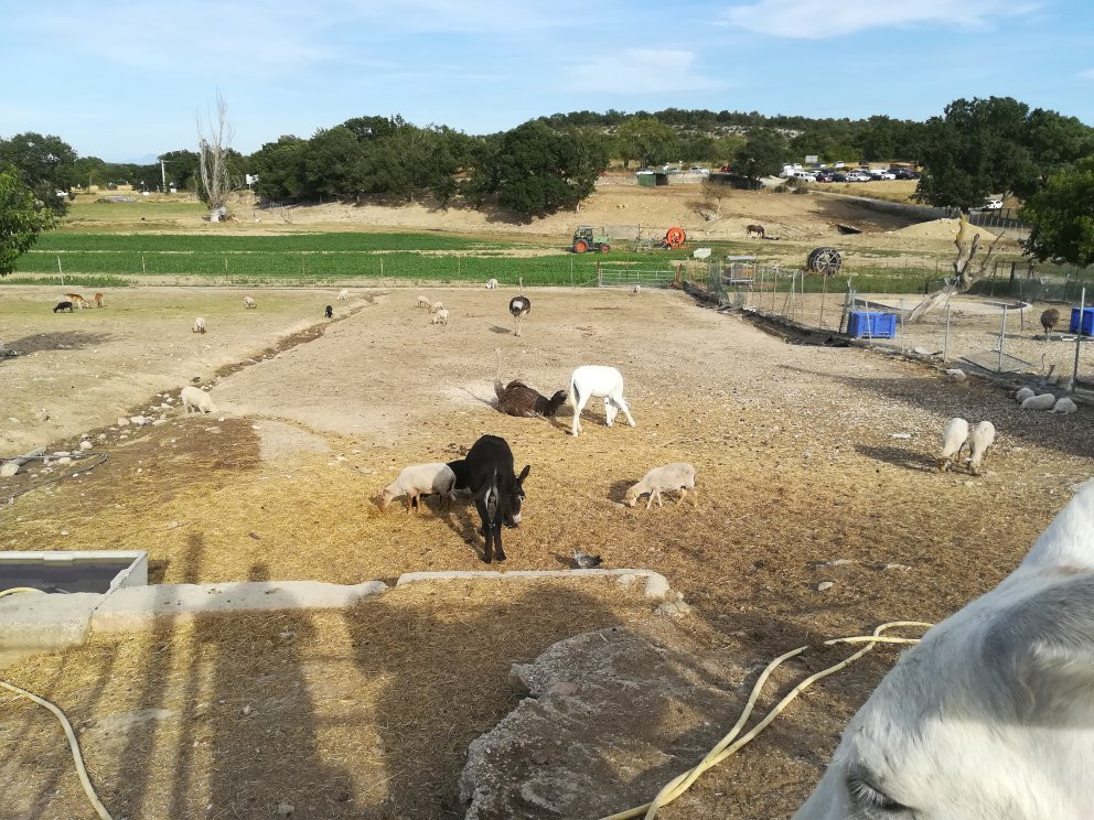 La Ferme Coudert-Vallerargues必去景点