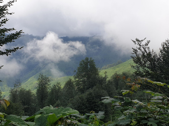 Maya Gavriliuk-巴统必去景点