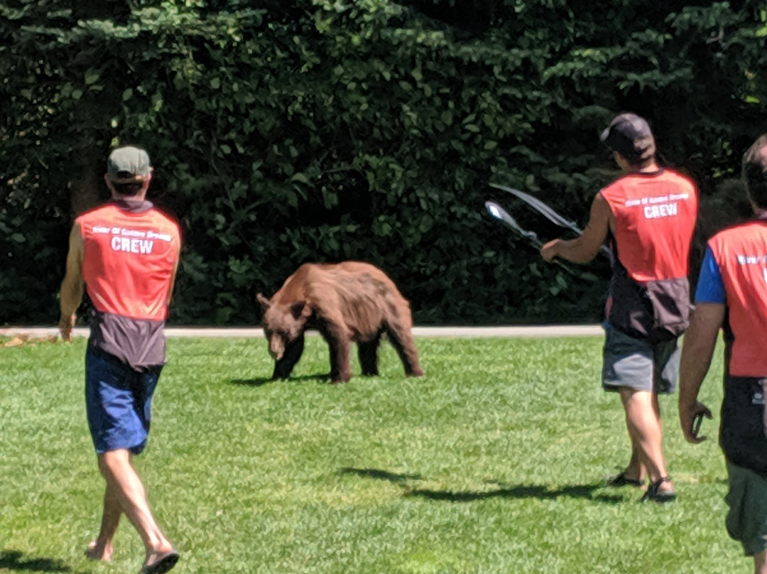 Lakeside Park-惠斯勒必去景点
