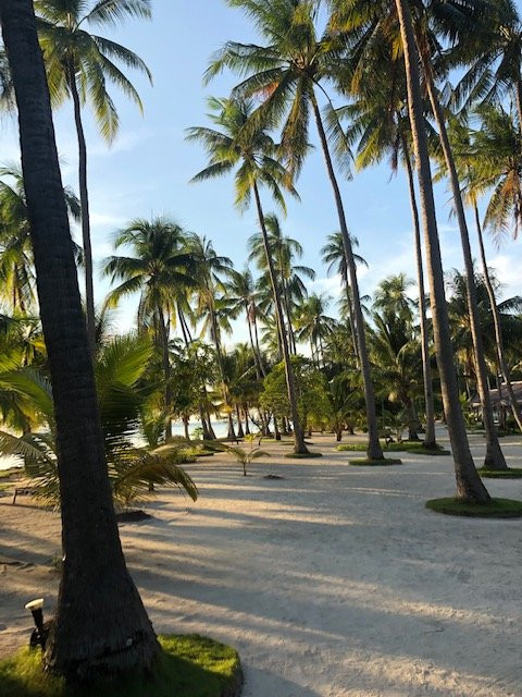 Kura Kura Resort主图